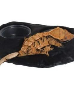 Magnaturals Magnetic Food & Water Ledge