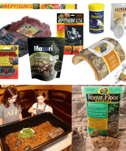 Tortoise & Box Turtle Habitat Starter Kit